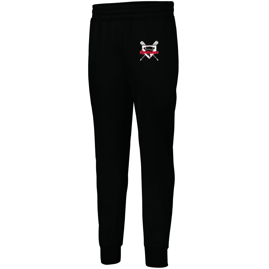 Men's PERFORMANCE FLEECE JOGGER